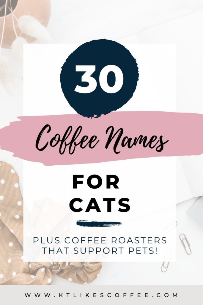 Pinterest Pin on 30 coffee names for cats