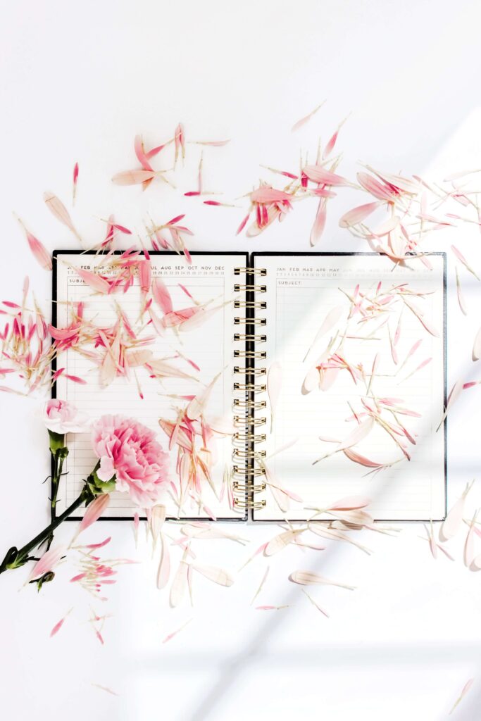 An open journal with pink flower petals on top.